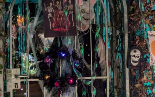 Halloween voorpret